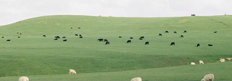 AggieWorks Cover Image